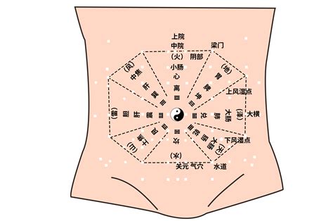 人體八卦|八卦各卦与人体脏腑器官对应